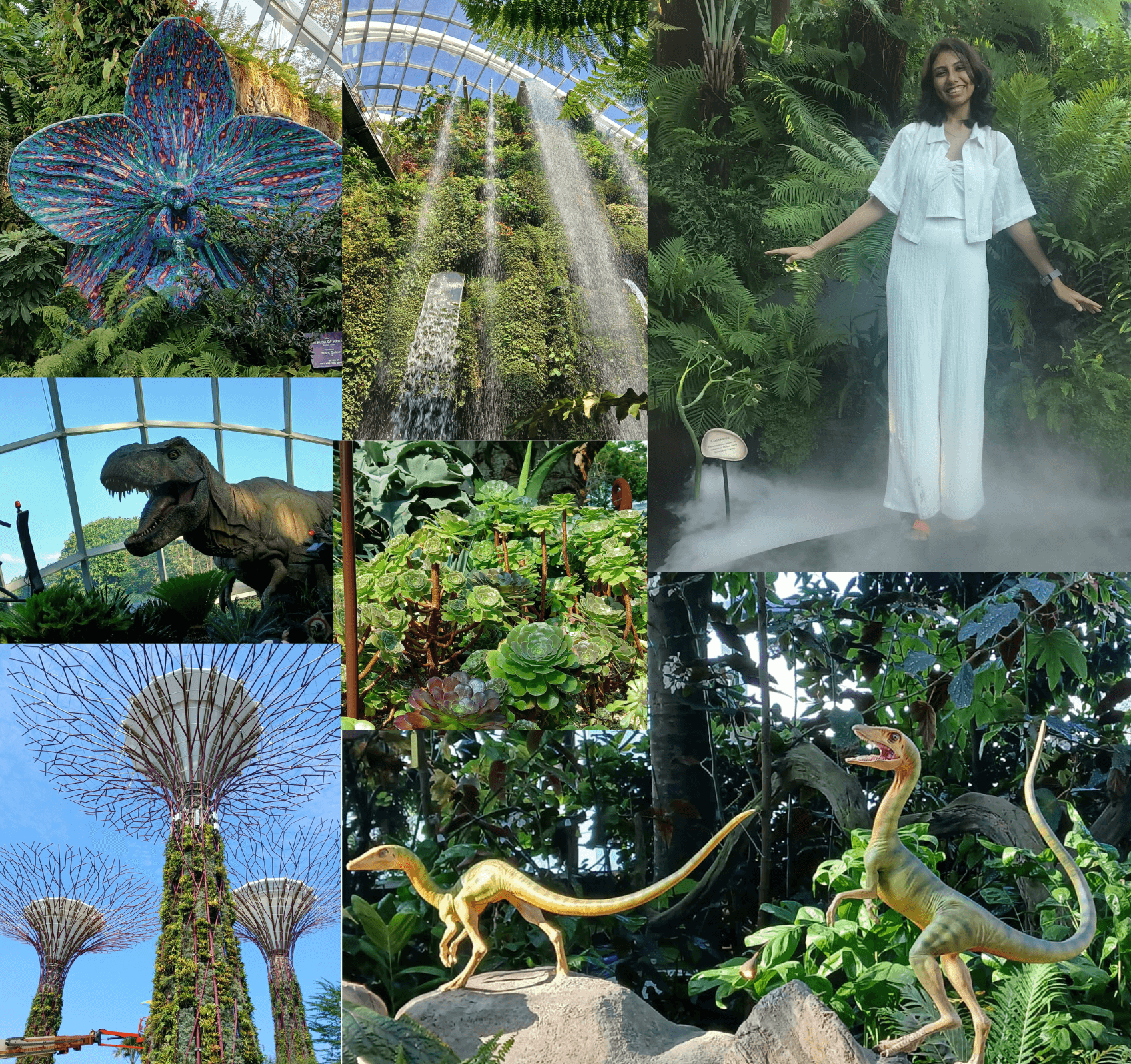 Clicks from Gardens By the Bay and Cloud Forest